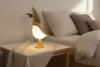 Luz y Ambiente